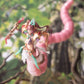(PREORDER) Arcanadea - Meltina Model Kit