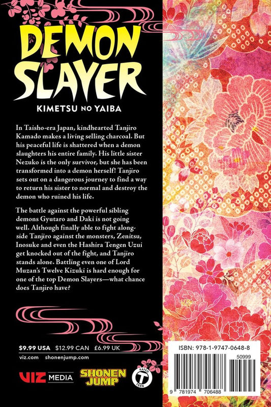 Demon Slayer: Kimetsu no Yaiba Manga Vol. 11