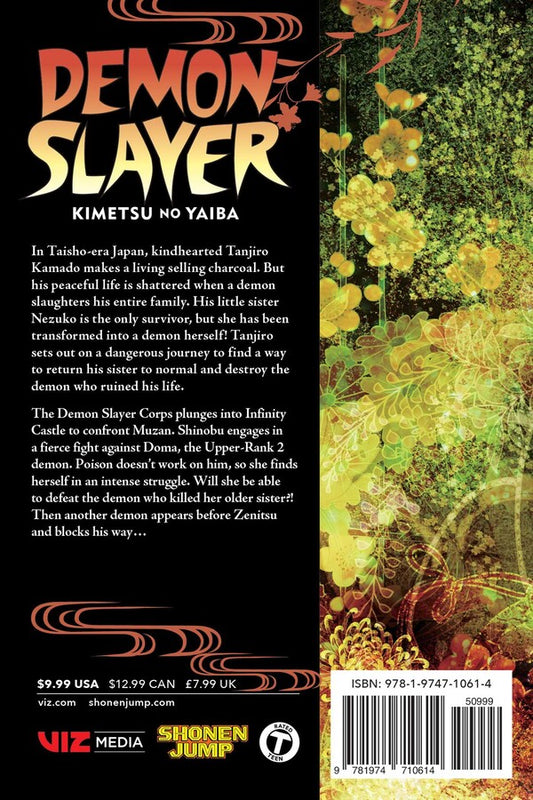 Demon Slayer: Kimetsu no Yaiba Manga Vol. 17