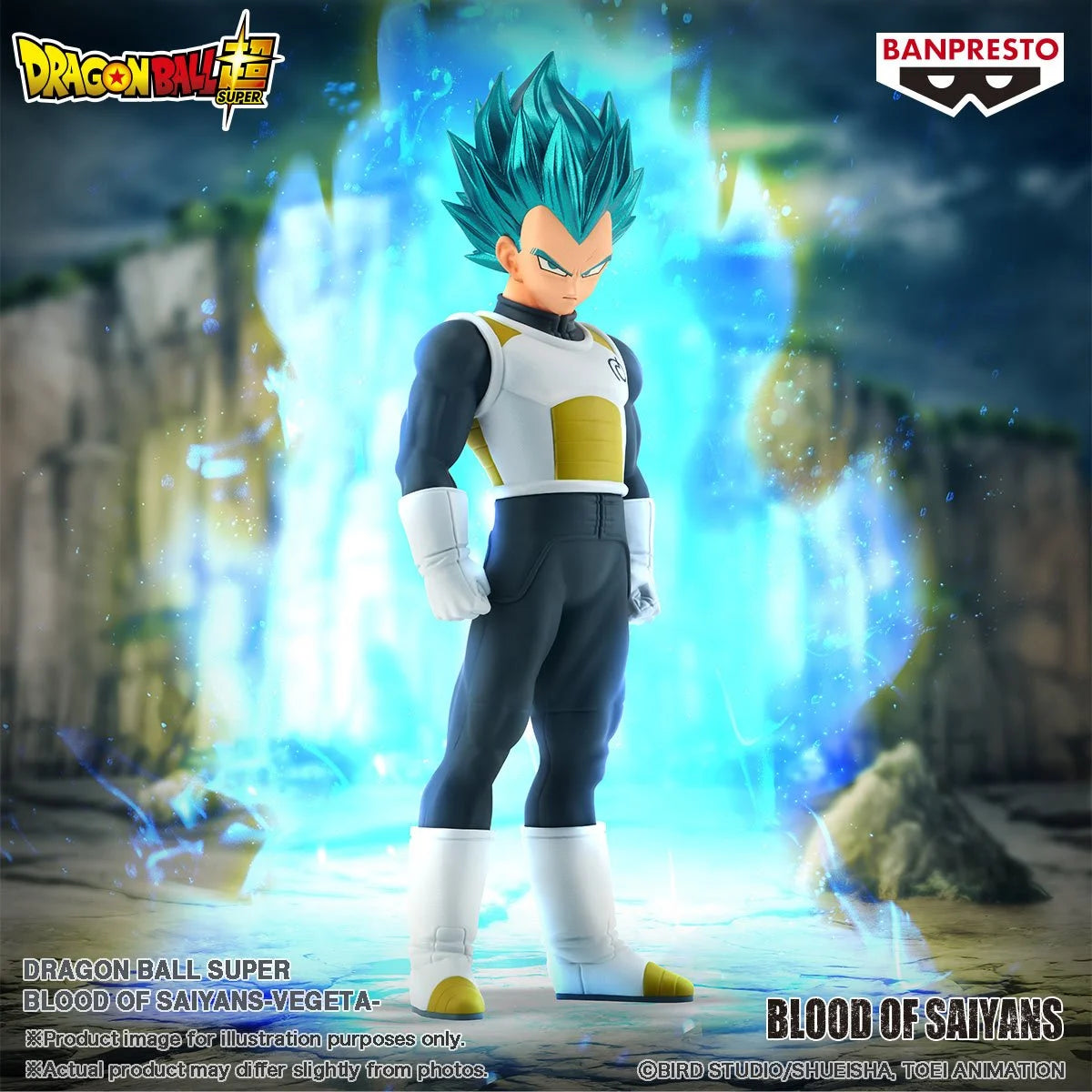 Dragon Ball Super Vegeta Blood of Saiyans Figure
